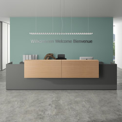 basic C Reception system | Counters | werner works