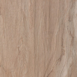 Ulivo noce | Ceramic tiles | Casalgrande Padana