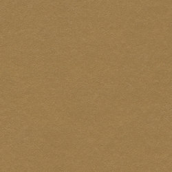 Marmoleum Walton | Cirrus cardboard | Linoleum rolls | Forbo Flooring