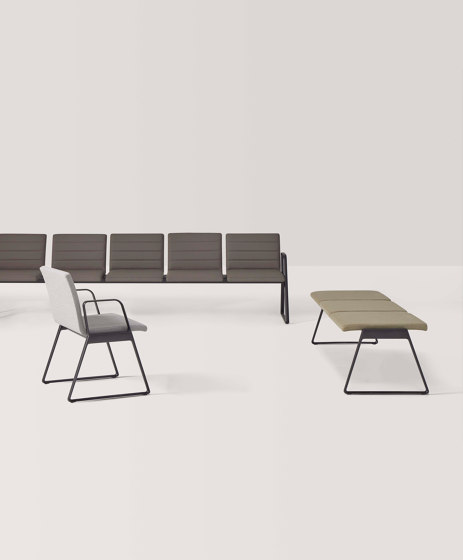 Lin Tapiz | Panche | Inclass