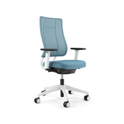 Newback mesh back task chair | Office chairs | Viasit