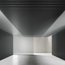 DresswallStripes | SQ35/100 | Complete systems | Dresswall