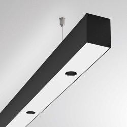 Log 50 Spot PDI | Suspended lights | MOLTO LUCE