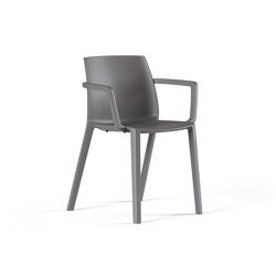 Ador | Chairs | FREZZA