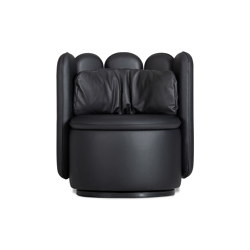 DS-800 Biscuit | Armchairs | de Sede