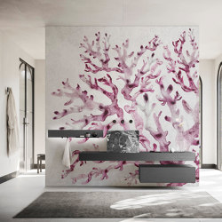 Coral tree | Wall coverings / wallpapers | WallPepper