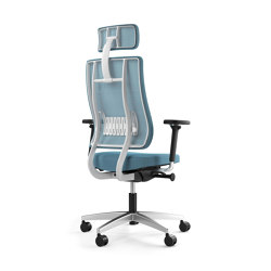 Newback NPR | Office chairs | Viasit